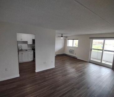 Rose City Terrace | 380 Fitch Street, Welland - Photo 1