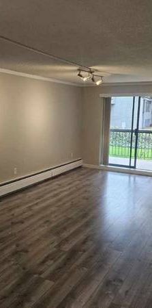 Newly Renovated 1-Bedroom Apartment Centrally Located in Abbotsford - Photo 1