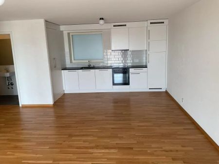 Moderne 4.5 pièces dans la résidence Sébeillon - Photo 3