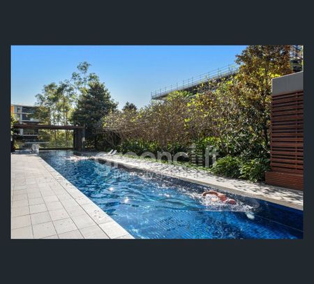 5 Sterling Cct, Camperdown, NSW 2050 - Photo 3