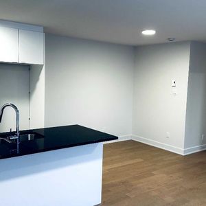 3 ½ Demi-sous-sol, proche de Grande allée / montée St-Hubert - Photo 2