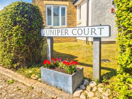 Juniper Court, CM6, Dunmow - Photo 3