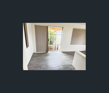 Spacious 4 x 2 Family Home in Sought-After Halls Head - Photo 6