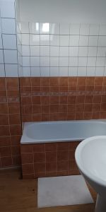 Location Appartement 1 pièce 16m² BELFORT 90000 - Photo 4