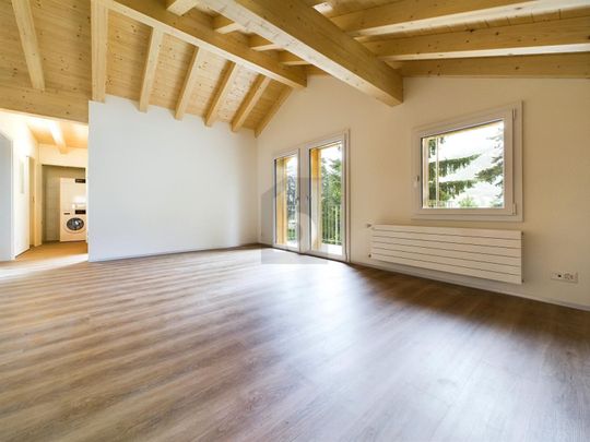 SPACIOUS AND LIGHT-FLOODED - Photo 1