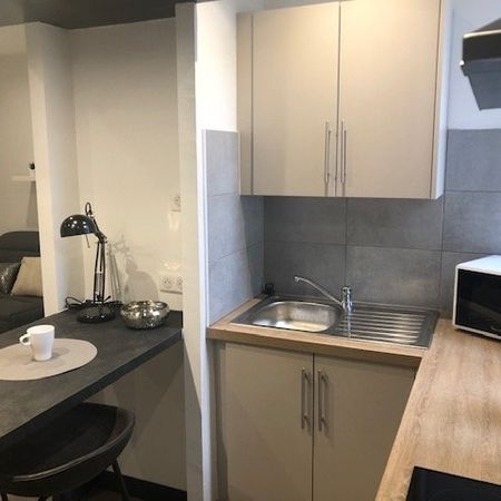 Location Appartement 1 pièce 19m² - Photo 3