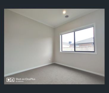 High Quality 4 Bedroom 2 Living Area House! - Photo 4