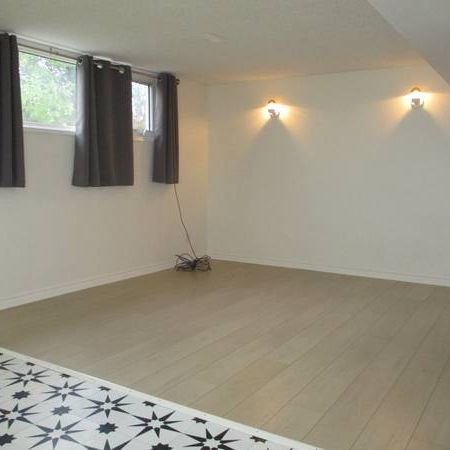 Clean, Spacious Suite in Spruceland - Photo 1