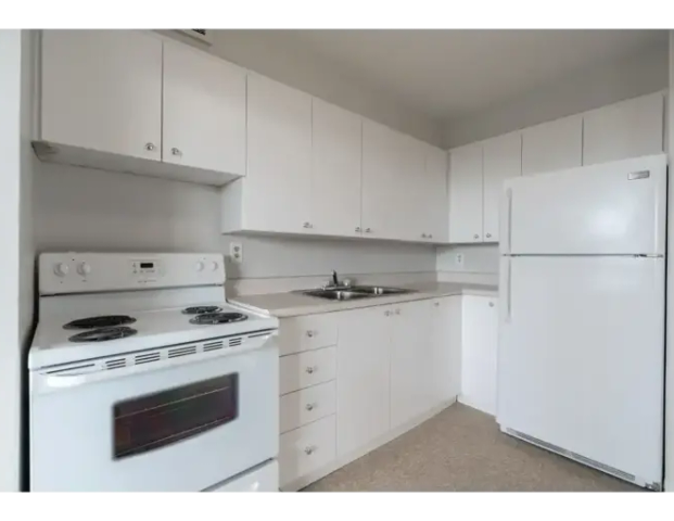 310 Niska Road | 310 Niska Road, Toronto - Photo 1