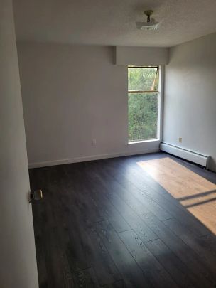 Shannon Gardens — Large 2 Bedroom Apartment - Photo 1