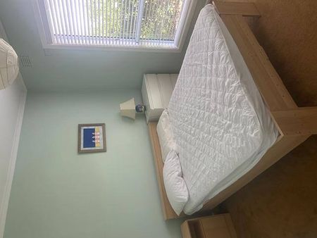 In the golden mile - Photo 5