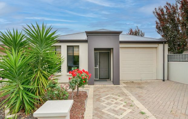 42A Byard Terrace, Mitchell Park SA 5043 - House For Rent - $750 | Domain - Photo 1