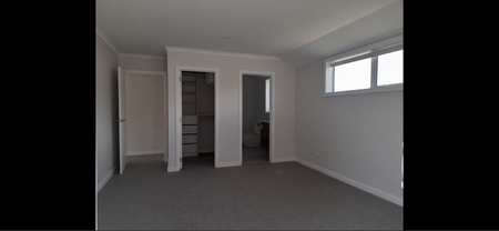 4 years old beautiful, fully fenced in Omokoroa - Photo 2