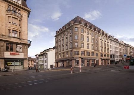 3.5 Zimmer, 293 m², 2. Stock - Foto 5