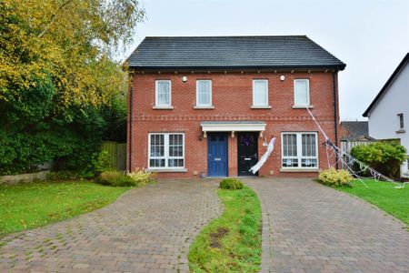 14 Sir Richard Wallace Drive, LISBURN, BT28 3BA - Photo 3