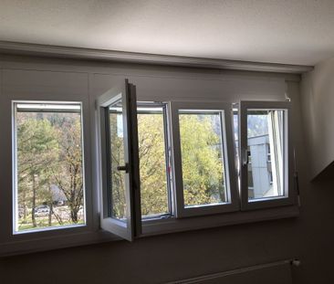 Appartement mansardé de 1,5 pièce avec vue sur les étoiles - Photo 4