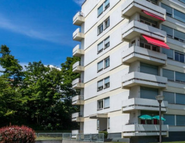 Charmant logement rénové de 4 pièces en plein coeur de Versoix avec échappée sur le lac Léman - Foto 1