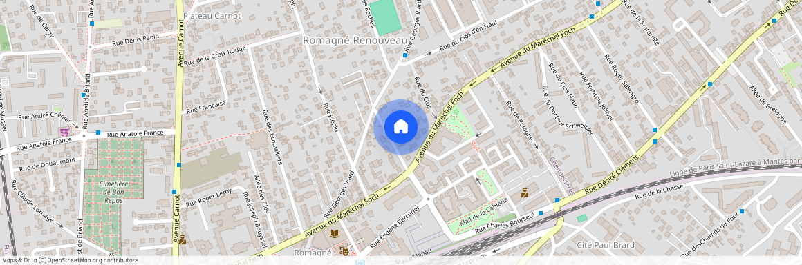 CONFLANS STE HONORINE (78700)