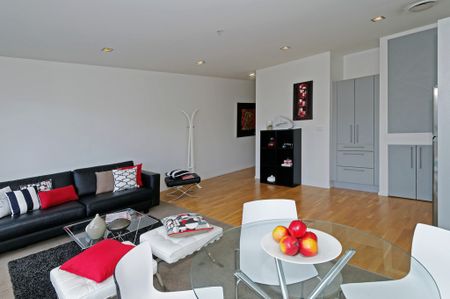 Hudson Brown - One Bedroom - Photo 4