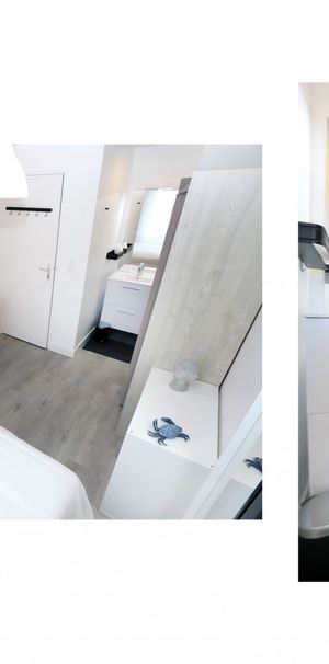 DR YVES LOUVIGNE Colocation 4 chambres à Rennes - Photo 2