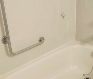 For Lease - 22 Buena Vista Avenue Unit# Lower unit, Toronto, Ontario - Photo 5