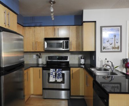 For Lease - 219 Fort York Boulevard Unit# 410, Toronto, Ontario - Photo 4