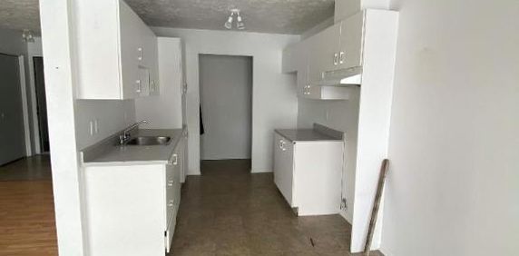 2 CH - 1 SDB - Granby - $1,295 /mo - Photo 2