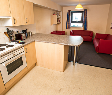 1 Bedroom Halls To Rent in Poole - From £165.74 pw Tenancy Info - Photo 4