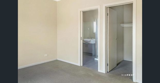 Family Entertainer - Photo 1