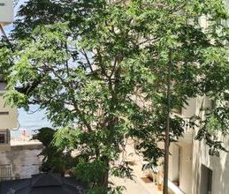 Διαμέρισμα για ενοικίαση - Λουτράκι-Περαχώρα, - Photo 1