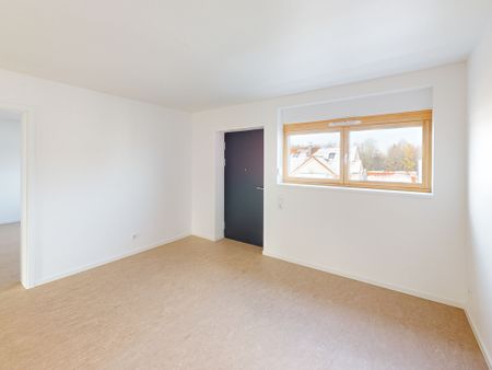 Ideal für junge Familien - 4 Zimmer zum Entfalten! - Photo 3