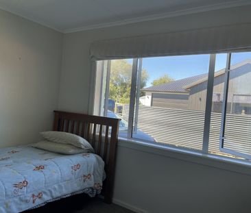 Wonderful Waikiwi - Photo 5