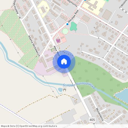 Aleja Wolności, opolskie, opolski, Niemodlin, Niemodlin
