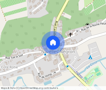 Location Appartement 1 pièce 21m² NAZELLES NEGRON 37530 - Photo 1