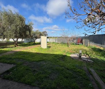 Peaceful Family Living with Scenic Views - Photo 3