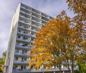 3-Raum-Wohnung mit Balkon und den Spielplatz vor der Haustür - Foto 1