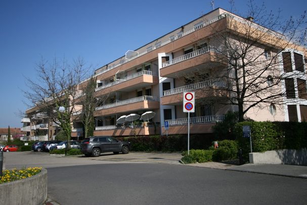 Appartement en attique de 5,5 pièces avec terrasse à Perly - Photo 1