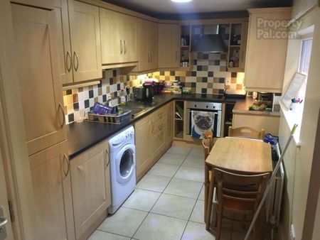 24 Chadwick Street, Belfast BT9 7FD - Photo 2