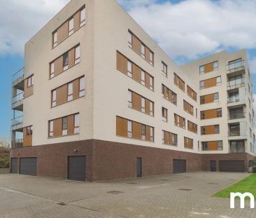 Stijlvol appartement te huur aan de Leie - Photo 1