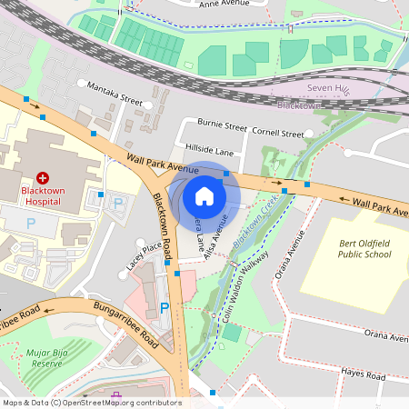 10 Elouera Lane, Blacktown NSW 2148