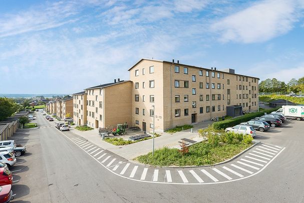 Afd. 6 Bjellerupparken - Photo 1