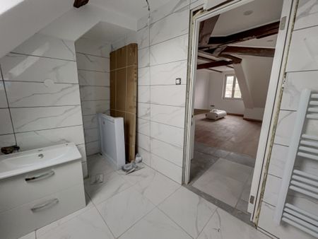 Location Appartement 1 pièce 22m² SELESTAT 67600 - Photo 2