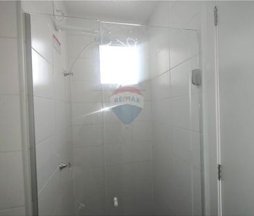Apartamento de 3 Quartos sendo 1 suíte no bairro Palmeiras! - Foto 3