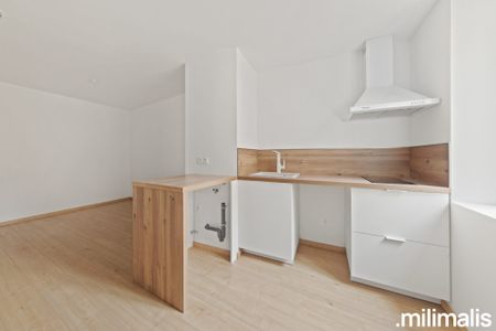 Location Appartement 1 pièce 20m² METZ 57070 - Photo 2