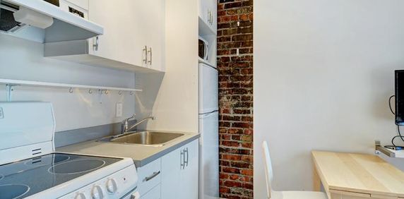 Loft entièrement meublé à louer Saint-Jean-Baptiste juillet 2026 - Photo 2