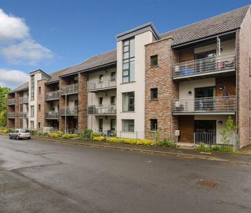 9 Woodbrook Green, Lisburn, BT28 2ZJ - Photo 3