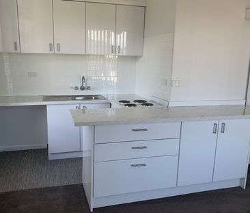 Fully Renovated One Bedroom Unit With Parking - Photo 4