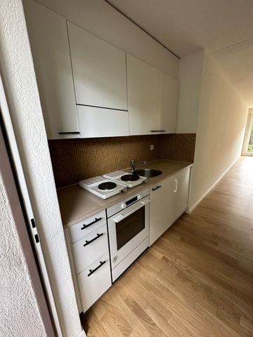 1.5-Zimmerwohnung mit Sitzplatz im Erdgeschoss - Photo 2