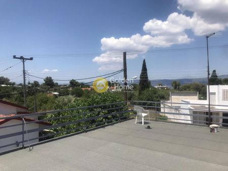 Ενοικίαση, Επαγγελματικό, Αυτόνομο Κτίριο - Φωτογραφία 2