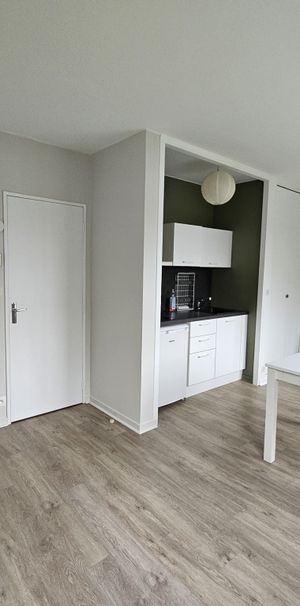 Location Appartement 1 pièce 26m² ANGERS 49000 - Photo 1